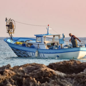 Covering sardine d'un bateau