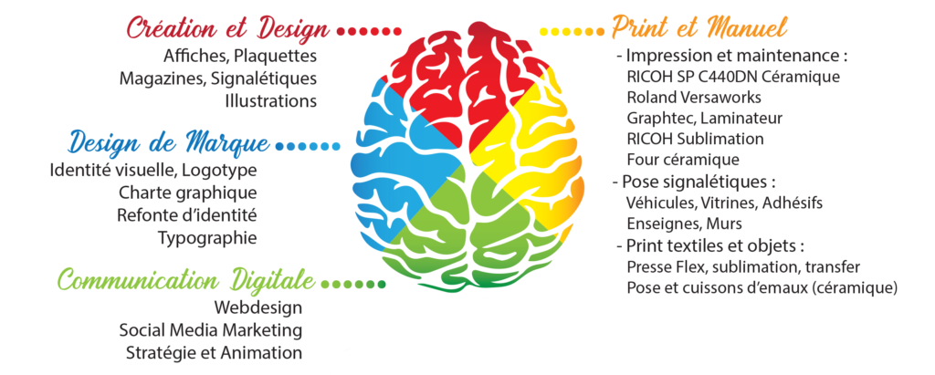 Image d'un cerveau avec les compétences artistiques de Rokin