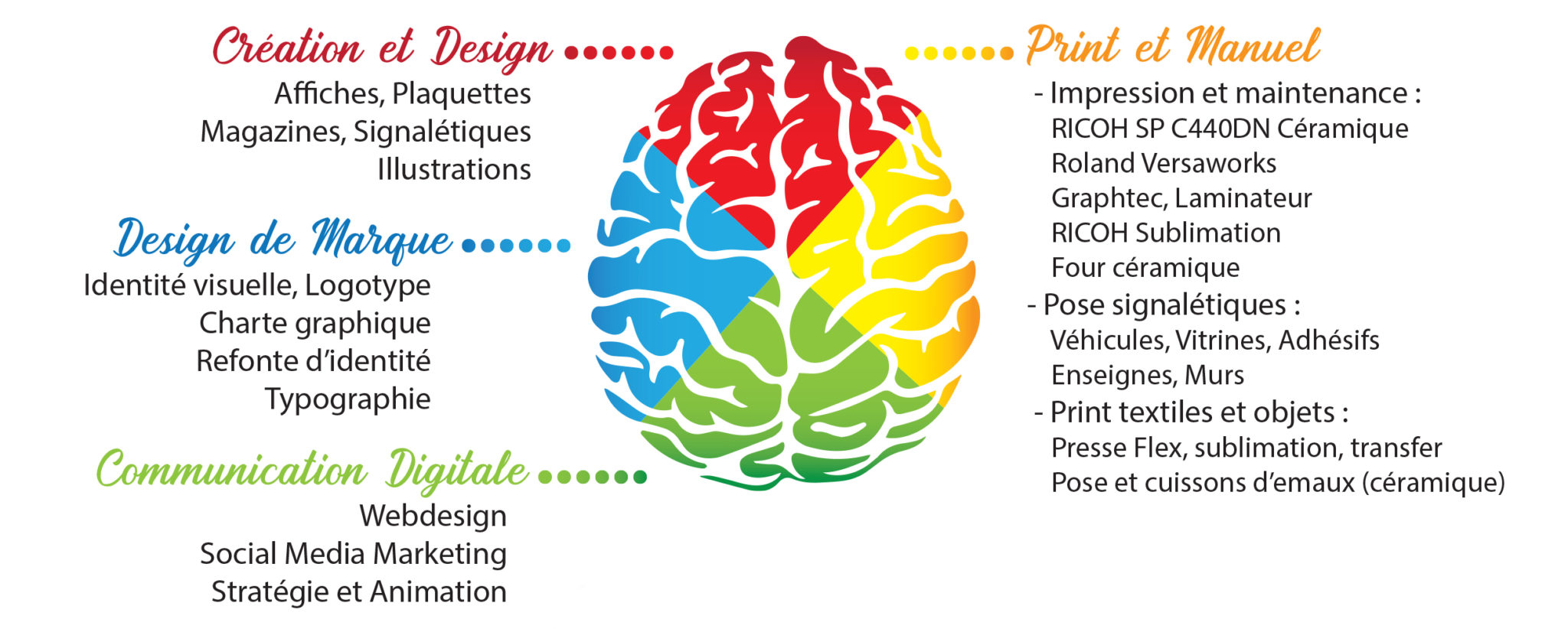 Image d'un cerveau avec les compétences artistiques de Rokin